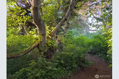 0 West Beach Road, Oak Harbor, WA 98277 - Photo 27