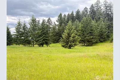 12 S Teal Lake Road, Oroville, WA 98844 - Photo 35