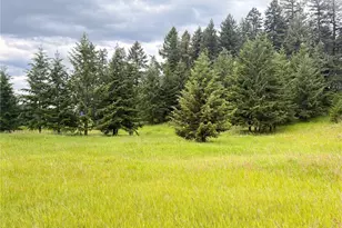12 S Teal Lake Rd, Oroville, WA 98844 - Photo 35