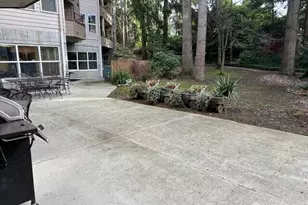 1684 152nd Ave NE, Bellevue, WA 98007 - Photo 17