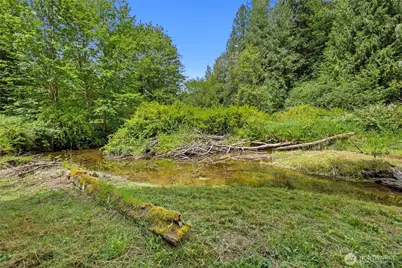 53665 White Falls Court, Concrete, WA 98237 - Photo 15