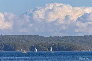 45 Stony Point, Friday Harbor, WA 98250 - Photo 39