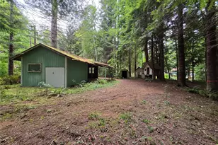 160 Elk Dr, Brinnon, WA 98320 - Photo 1