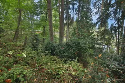 0 Xxx Waterside Lane, Langley, WA 98260 - Photo 11