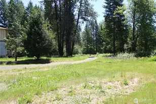699 State Route 7, Morton, WA 98356 - Photo 9