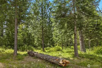 21 Old Grove Trail, Cle Elum, WA 98922 - Photo 19