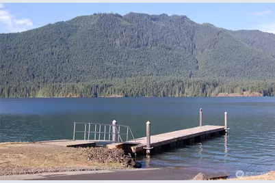 90 N Hamma Hamma Drive E, Hoodsport, WA 98548 - Photo 35