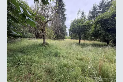 0 Boston Harbor Road NE, Olympia, WA 98506 - Photo 9
