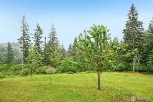 25117 NE 239th Cir, Battle Ground, WA 98604 - Photo 29