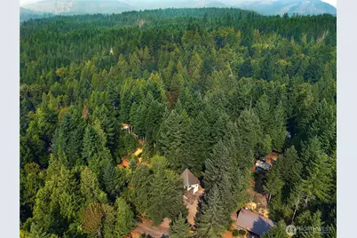 221 N Trail Head Loop, Lilliwaup, WA 98555 - Photo 31