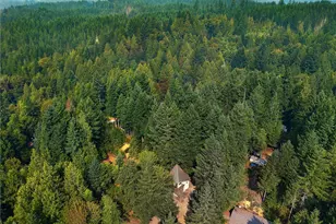 221 N Trail Head Loop, Lilliwaup, WA 98555 - Photo 31