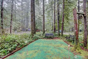 243 Schinn Canyon Ct, Deming, WA 98244 - Photo 5