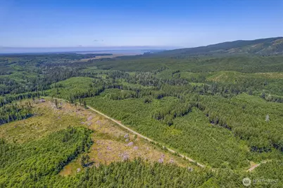 1 W Walberg Road, Chinook, WA 98614 - Photo 5
