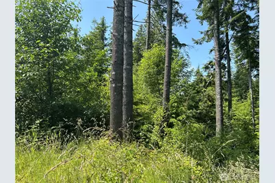 1 W Walberg Road, Chinook, WA 98614 - Photo 27