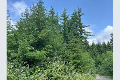 2 E Walberg Road, Chinook, WA 98614 - Photo 25