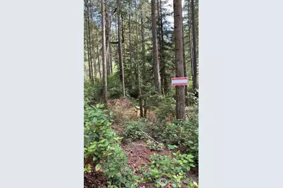 11308 114th Street Ct, Anderson Island, WA 98303 - Photo 3