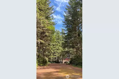 11308 114th Street Ct, Anderson Island, WA 98303 - Photo 1