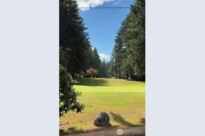 11308 114th Street Ct, Anderson Island, WA 98303 - Photo 11