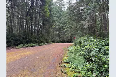11308 114th Street Ct, Anderson Island, WA 98303 - Photo 7