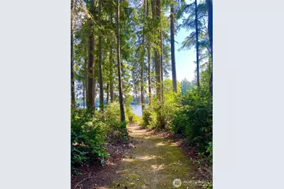 11308 114th Street Ct, Anderson Island, WA 98303 - Photo 9