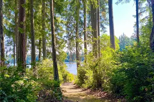 11308 114th St Ct, Anderson Island, WA 98303 - Photo 9