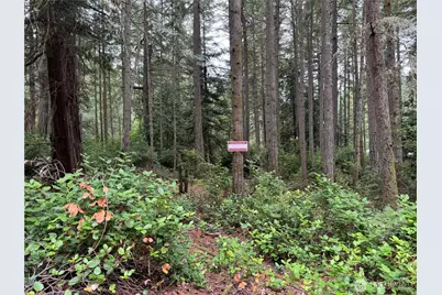 11308 114th Street Ct, Anderson Island, WA 98303 - Photo 11