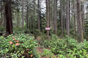 11308 114th St Ct, Anderson Island, WA 98303 - Photo 11