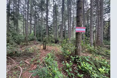 11308 114th Street Ct, Anderson Island, WA 98303 - Photo 5
