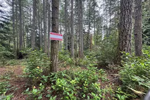 11308 114th St Ct, Anderson Island, WA 98303 - Photo 9