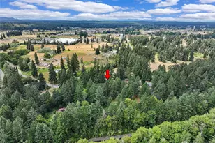 10314 Bridge Rd SE, Yelm, WA 98597 - Photo 35