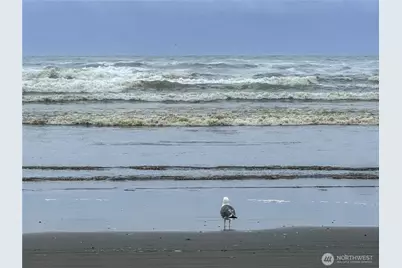 425 N Portal Loop SW, Ocean Shores, WA 98569 - Photo 35