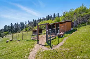 469 Tag Ln, Walla Walla, WA 99362 - Photo 35