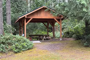 51 NE Rhody Ln, Tahuya, WA 98588 - Photo 15