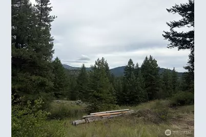 184 N Lambert Lane, Republic, WA 99166 - Photo 5