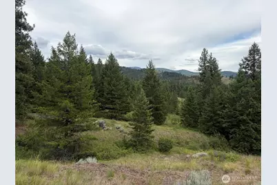 184 N Lambert Lane, Republic, WA 99166 - Photo 31