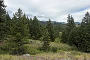 184 N Lambert Ln, Republic, WA 99166 - Photo 31