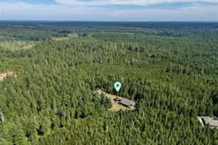 3840 E Mason Lake Rd, Shelton, WA 98584 - Photo 37