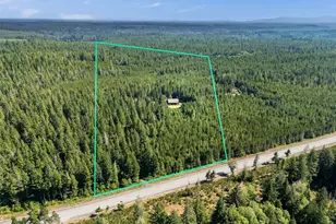 3840 E Mason Lake Rd, Shelton, WA 98584 - Photo 7
