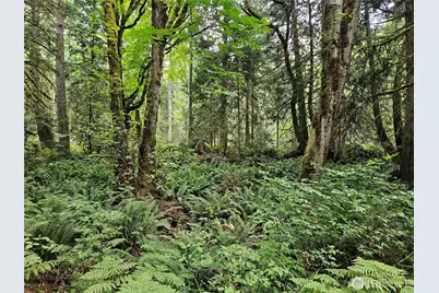 1 Nsn Smith Lane, Quilcene, WA 98376 - Photo 7