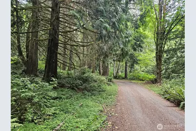 1 Nsn Smith Lane, Quilcene, WA 98376 - Photo 5