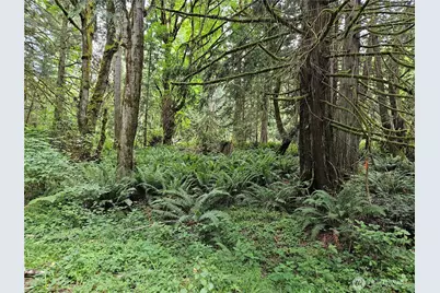 1 Nsn Smith Lane, Quilcene, WA 98376 - Photo 3