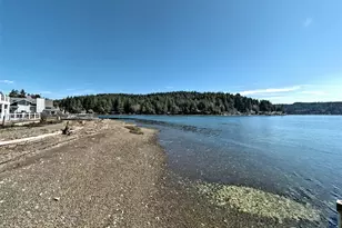 21 NE Shore Pl, Tahuya, WA 98588 - Photo 7