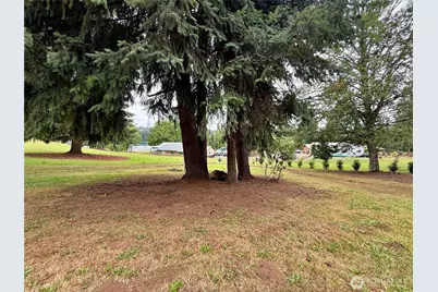 3459 US Highway 12, Silver Creek, WA 98564 - Photo 19