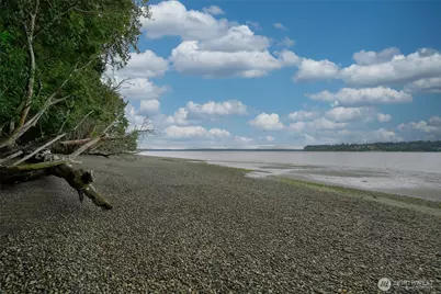 14025 96th Street Ct, Anderson Island, WA 98303 - Photo 3