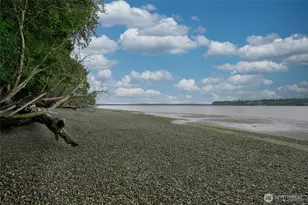 14025 96th Street Ct, Anderson Island, WA 98303 - Photo 3