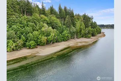 14025 96th Street Ct, Anderson Island, WA 98303 - Photo 39