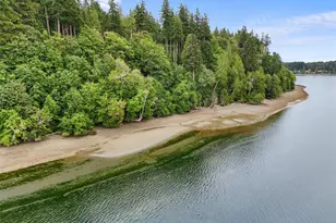 14025 96th Street Ct, Anderson Island, WA 98303 - Photo 39