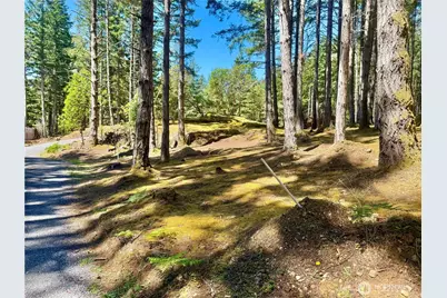 0 Kiya Way, Friday Harbor, WA 98250 - Photo 39