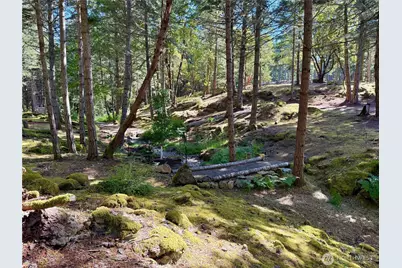 0 Kiya Way, Friday Harbor, WA 98250 - Photo 5