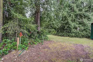 224 Riverview Dr, Castle Rock, WA 98611 - Photo 11